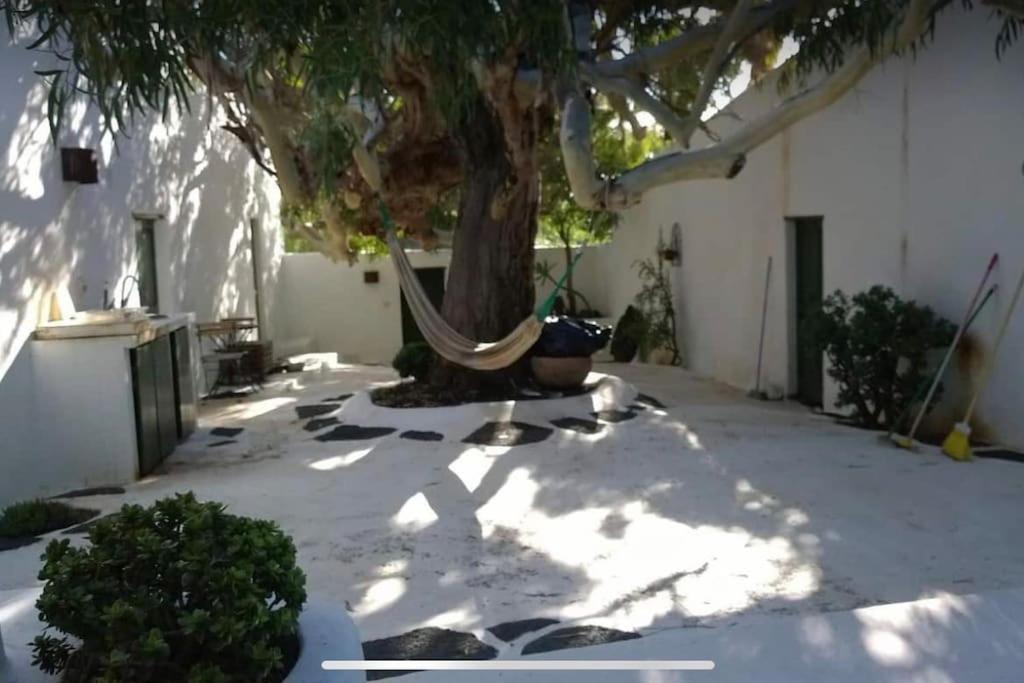 Lovely Studio In Original Finca La Asomada  Екстер'єр фото